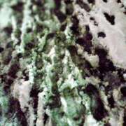 ヒメ日記 2026/01/25 18:10 投稿 今井さき 五十路マダム 岐阜店