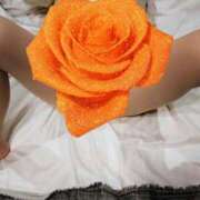 ヒメ日記 2026/02/08 13:02 投稿 今井さき 五十路マダム 岐阜店