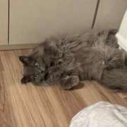 ヒメ日記 2025/07/30 10:35 投稿 まな コルドンブルー