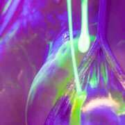 ヒメ日記 2025/09/10 19:15 投稿 まな コルドンブルー