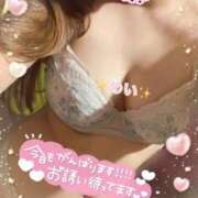 ヒメ日記 2025/01/17 18:05 投稿 めい ぷるるん小町 京橋店