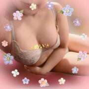 ヒメ日記 2025/11/11 20:24 投稿 めい ぷるるん小町 京橋店