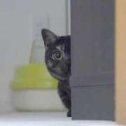 ヒメ日記 2025/12/26 18:09 投稿 あすか マリン宮殿水戸店