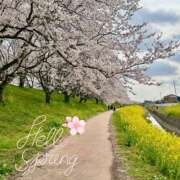 ヒメ日記 2025/04/10 11:12 投稿 月島　あきな Eureka！EGOIST～エゴイスト～-美とエロスの饗宴