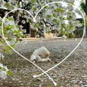 ヒメ日記 2025/04/11 21:25 投稿 月島　あきな Eureka！EGOIST～エゴイスト～-美とエロスの饗宴