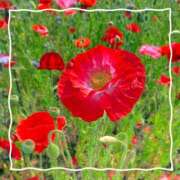 ヒメ日記 2025/05/23 16:09 投稿 月島　あきな Eureka！EGOIST～エゴイスト～-美とエロスの饗宴