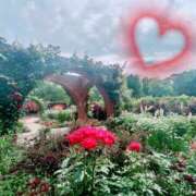 ヒメ日記 2025/06/05 21:22 投稿 月島　あきな Eureka！EGOIST～エゴイスト～-美とエロスの饗宴