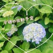 ヒメ日記 2025/06/18 21:17 投稿 月島　あきな Eureka！EGOIST～エゴイスト～-美とエロスの饗宴