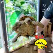 ヒメ日記 2025/06/25 22:14 投稿 月島　あきな Eureka！EGOIST～エゴイスト～-美とエロスの饗宴