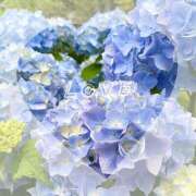 ヒメ日記 2025/07/03 12:01 投稿 月島　あきな Eureka！EGOIST～エゴイスト～-美とエロスの饗宴