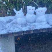 ヒメ日記 2026/01/07 18:02 投稿 こはる キャンパスサミット 地域トップクラスの可愛い子揃い