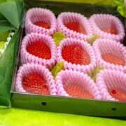 ヒメ日記 2026/04/01 19:01 投稿 こはる キャンパスサミット 地域トップクラスの可愛い子揃い