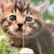 ヒメ日記 2025/01/25 17:12 投稿 あいの 熟女の風俗最終章　越谷店