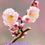 ヒメ日記 2025/01/18 17:42 投稿 あいの 熟女の風俗最終章 西川口店