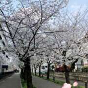 ヒメ日記 2025/04/01 08:17 投稿 あいの 熟女の風俗最終章 西川口店