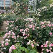 ヒメ日記 2025/03/02 08:40 投稿 栗山　さき ギン妻パラダイス 谷九店