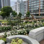 ヒメ日記 2025/04/12 16:36 投稿 栗山　さき ギン妻パラダイス 谷九店