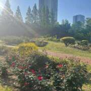 ヒメ日記 2025/04/29 07:59 投稿 栗山　さき ギン妻パラダイス 谷九店