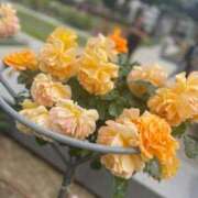 ヒメ日記 2025/05/13 08:20 投稿 栗山　さき ギン妻パラダイス 谷九店