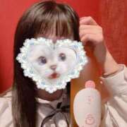 ヒメ日記 2025/04/24 20:33 投稿 クルミ バニーコレクション秋田店