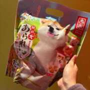 クルミ お兄さんありがとう〜💕 バニーコレクション秋田店