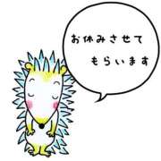 ゆき すみません💦 岐阜岐南各務原ちゃんこ