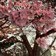 ヒメ日記 2025/04/10 17:02 投稿 新人しおり 松本人妻隊