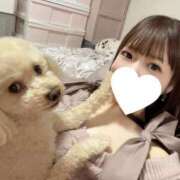 ヒメ日記 2025/02/08 22:31 投稿 優香（ユウカ） アバンチュール(五反田)