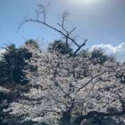 ヒメ日記 2025/04/01 20:32 投稿 優香（ユウカ） アバンチュール(五反田)