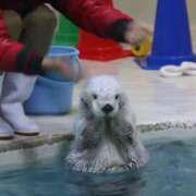 ヒメ日記 2025/04/22 20:31 投稿 優香（ユウカ） アバンチュール(五反田)