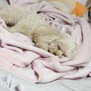 ヒメ日記 2025/08/01 11:31 投稿 優香（ユウカ） アバンチュール(五反田)