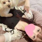 ヒメ日記 2025/08/11 22:46 投稿 優香（ユウカ） アバンチュール(五反田)