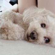 ヒメ日記 2025/08/12 14:01 投稿 優香（ユウカ） アバンチュール(五反田)