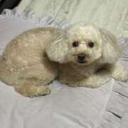 ヒメ日記 2025/09/21 14:01 投稿 優香（ユウカ） アバンチュール(五反田)