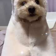 ヒメ日記 2025/10/12 19:31 投稿 優香（ユウカ） アバンチュール(五反田)