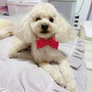 ヒメ日記 2025/10/15 08:31 投稿 優香（ユウカ） アバンチュール(五反田)