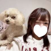 ヒメ日記 2025/10/17 18:16 投稿 優香（ユウカ） アバンチュール(五反田)