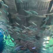 ヒメ日記 2025/10/24 23:01 投稿 優香（ユウカ） アバンチュール(五反田)