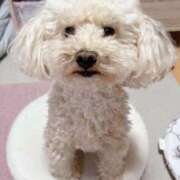 ヒメ日記 2025/11/13 13:16 投稿 優香（ユウカ） アバンチュール(五反田)