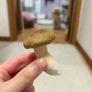 ヒメ日記 2025/11/15 13:31 投稿 優香（ユウカ） アバンチュール(五反田)