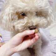 ヒメ日記 2025/12/01 14:46 投稿 優香（ユウカ） アバンチュール(五反田)