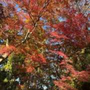 ヒメ日記 2025/12/07 13:46 投稿 優香（ユウカ） アバンチュール(五反田)