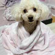 ヒメ日記 2025/12/13 10:01 投稿 優香（ユウカ） アバンチュール(五反田)