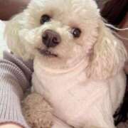 ヒメ日記 2025/12/27 23:46 投稿 優香（ユウカ） アバンチュール(五反田)