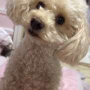 ヒメ日記 2025/12/31 12:01 投稿 優香（ユウカ） アバンチュール(五反田)