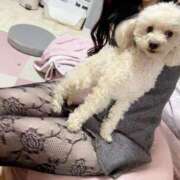 ヒメ日記 2026/01/14 14:01 投稿 優香（ユウカ） アバンチュール(五反田)