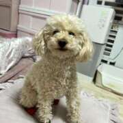 ヒメ日記 2026/01/25 16:46 投稿 優香（ユウカ） アバンチュール(五反田)