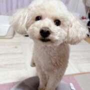 ヒメ日記 2026/01/30 13:01 投稿 優香（ユウカ） アバンチュール(五反田)