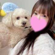 ヒメ日記 2026/02/04 16:16 投稿 優香（ユウカ） アバンチュール(五反田)