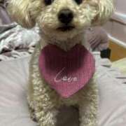 ヒメ日記 2026/02/06 17:31 投稿 優香（ユウカ） アバンチュール(五反田)